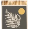 Allumettes Fern - The Archivist