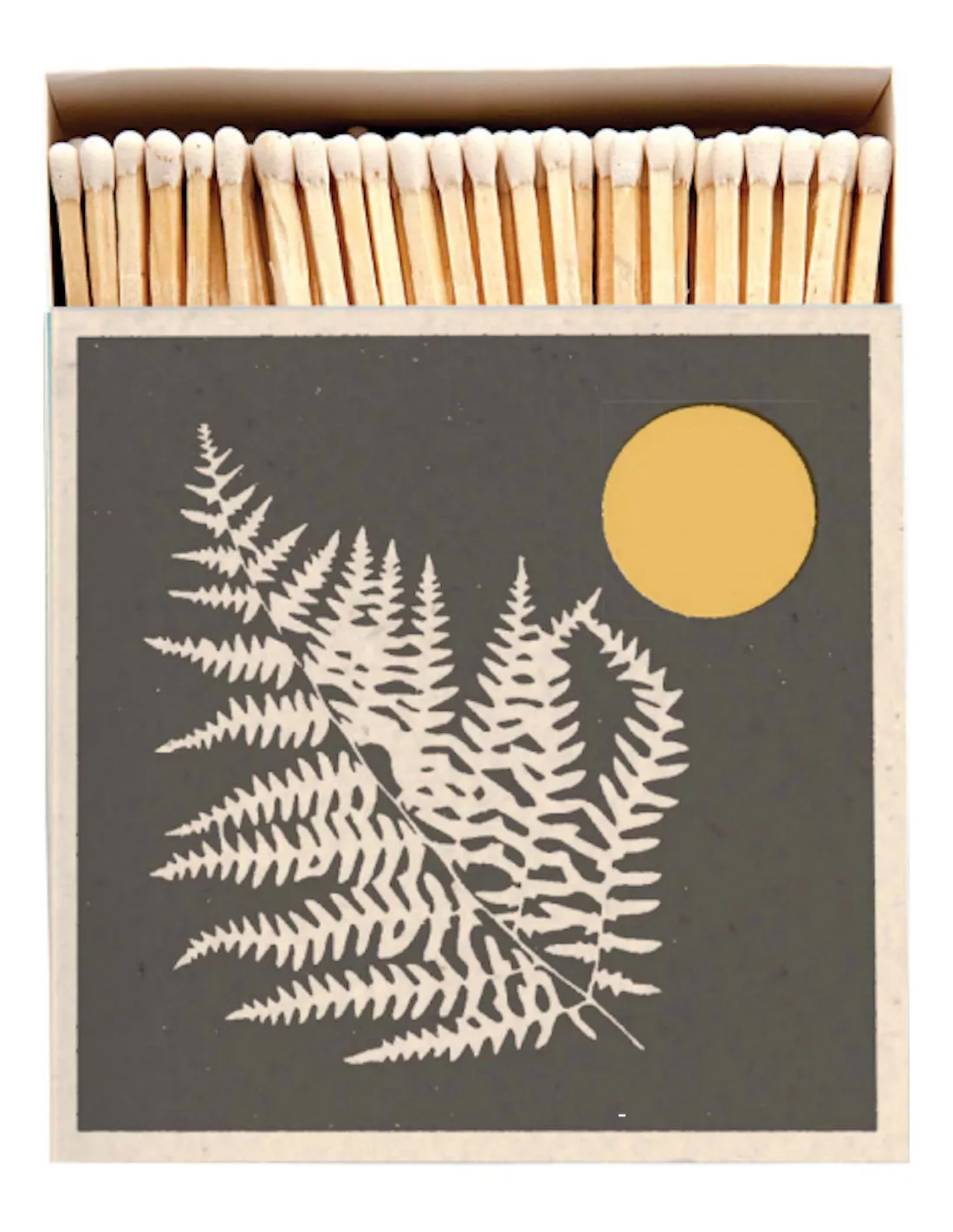 Allumettes Fern - The Archivist