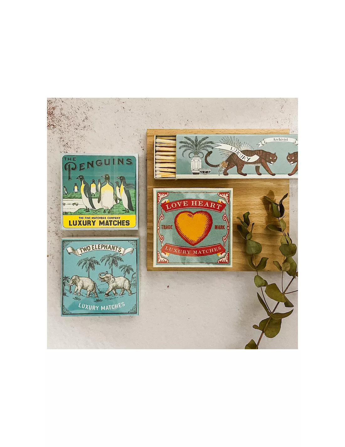 Allumettes Longues Tiger - The Archivist â Image 2