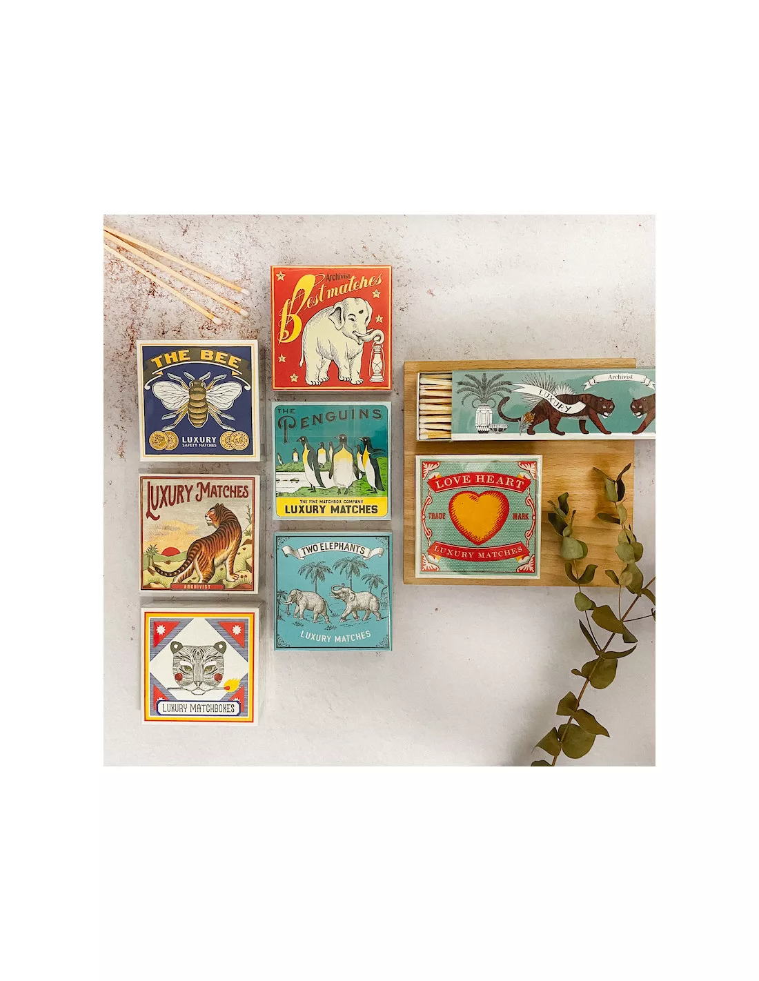 Allumettes Longues Tiger - The Archivist â Image 3