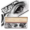 Allumettes Longues Wide Eyes - The Archivist