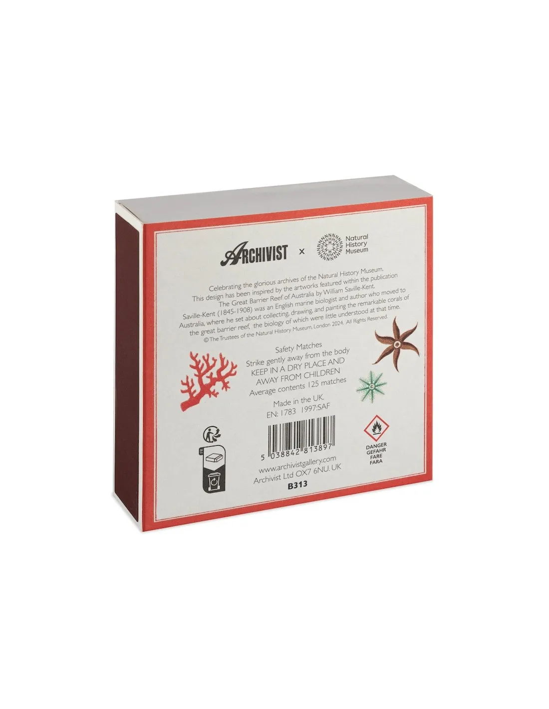 Allumettes Natural History Museum Great Barrier Reef - The Archivist – Image 3