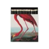 Allumettes The American Flamingo By Audubon - The Archivist