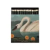 Allumettes The Common American Swan By Audubon - The Archivist