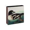 Allumettes The Golden-eye Duck By Audubon - The Archivist