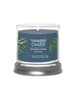 Yankee Candle Bougie Cèdre Marin - Petite Jarre