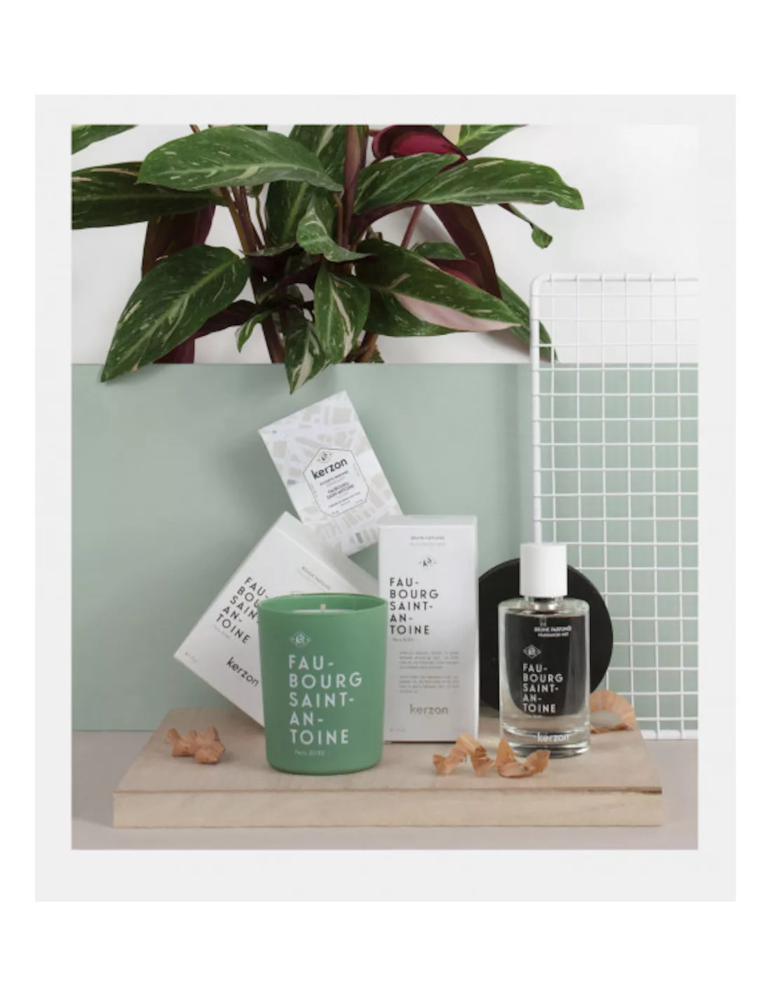 Bougie Faubourg St Antoine - Kerzon â Image 4