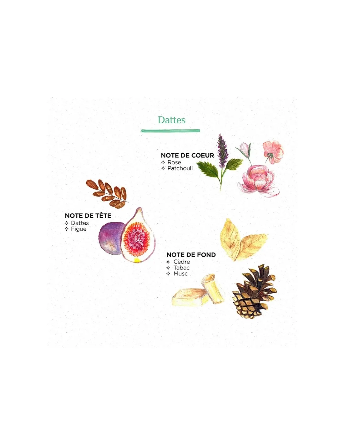 Bougie Raphia Radia S - Dattes – Image 5