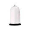 Cloche En Verre 20 Cm Avec Bouton Et Support