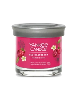 Yankee Candle Framboise - Petite Jarre