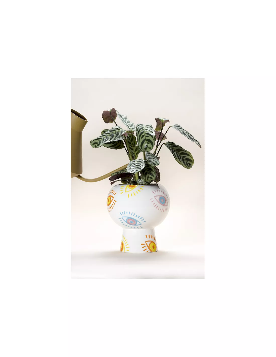 Pot Domingo - Ojos Locos â Image 5