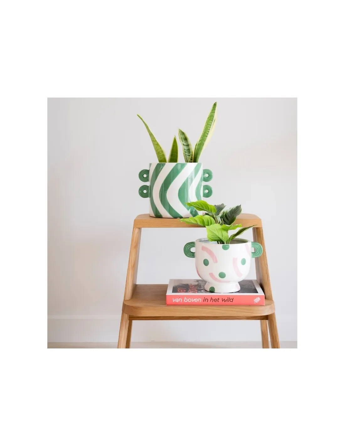 Pot Felipe - Baila Bella â Image 2