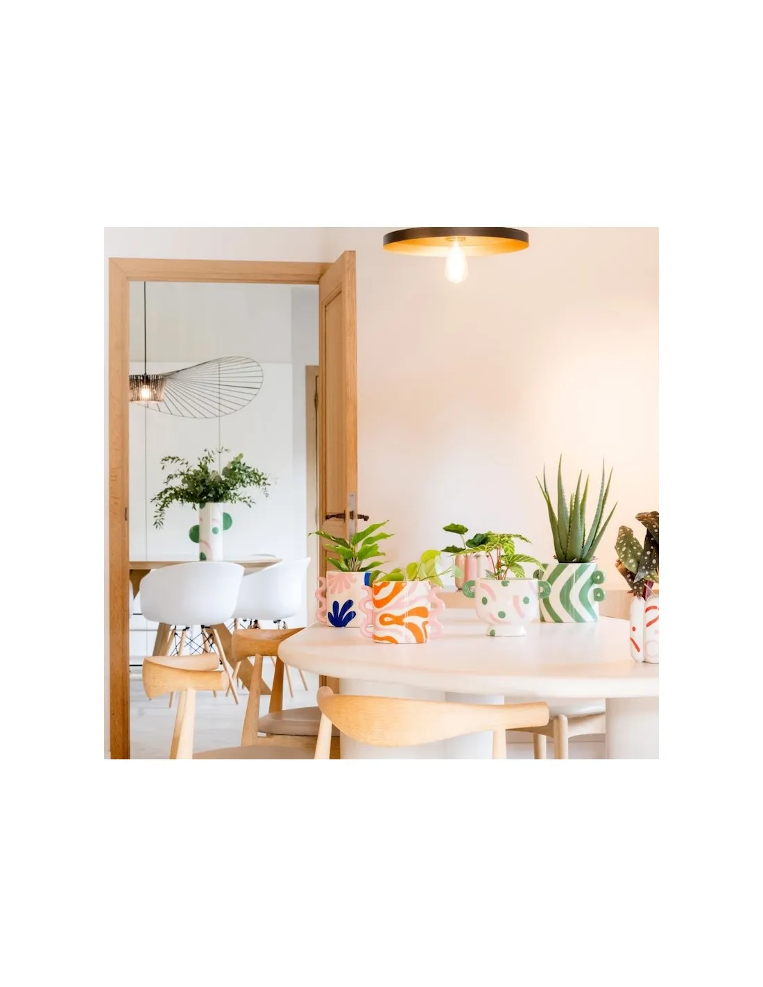 Pot Felipe - Baila Bella â Image 3