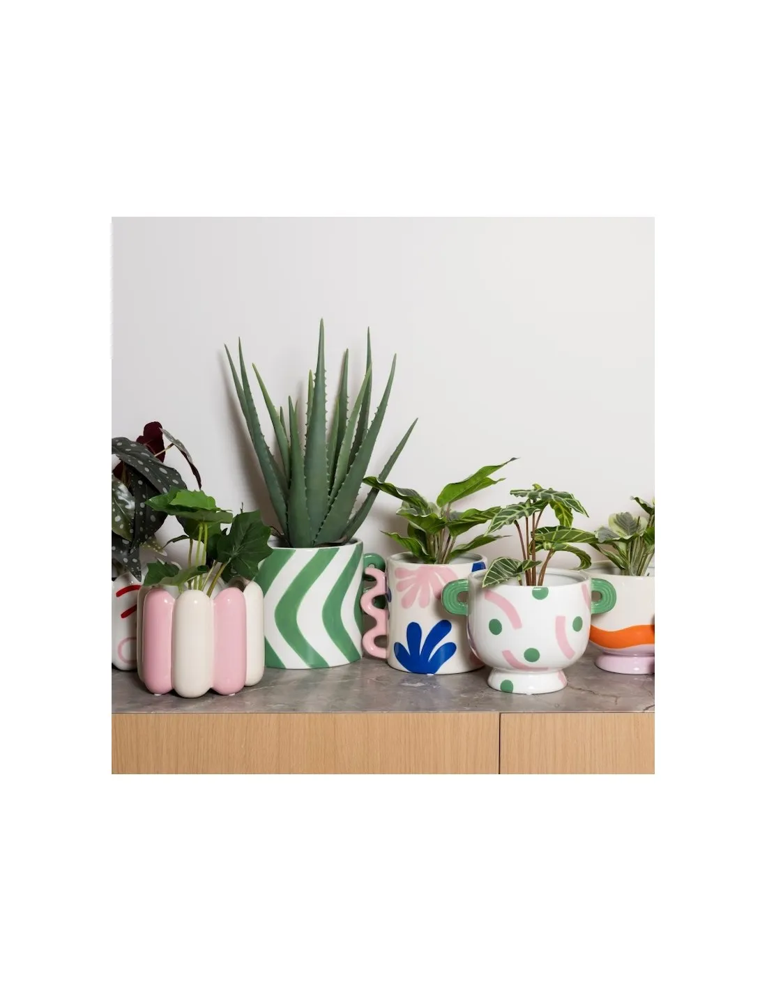 Pot Felipe - Baila Bella â Image 4