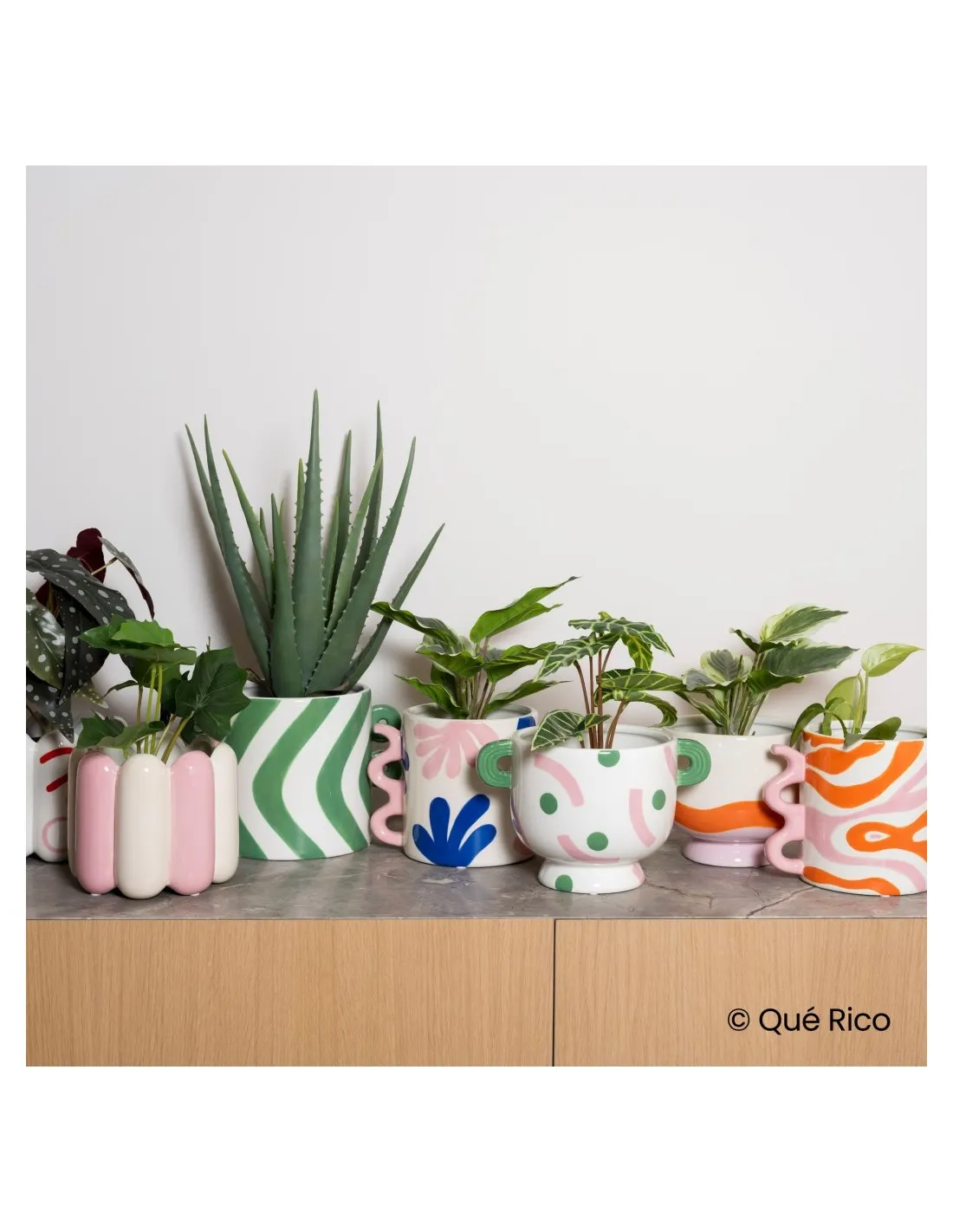 Pot Luca - Jaunty Jungle â Image 4