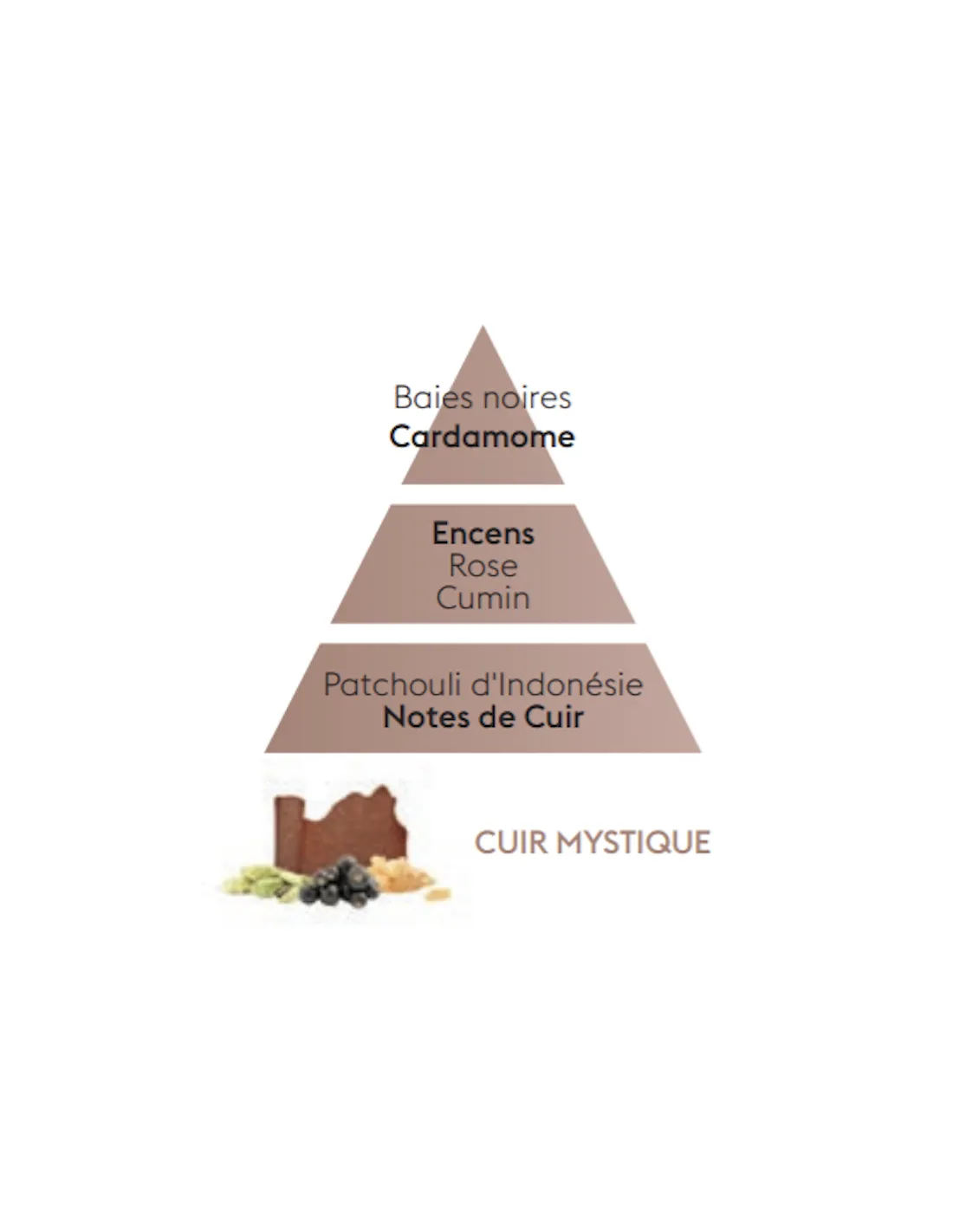 Recharge Diffuseur Voiture - Cuir Mystique â Image 4