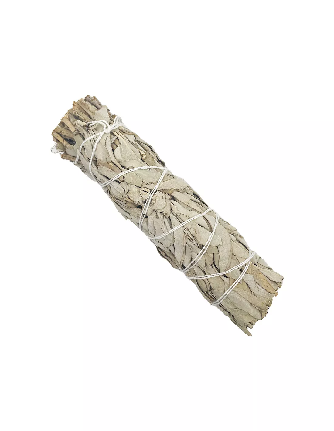 Sauge Blanche - Bouquet 16cm – Image 4