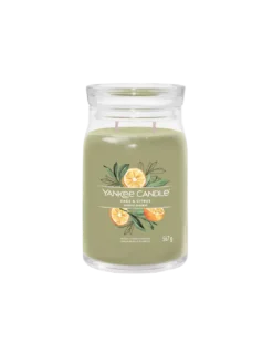 Yankee Candle Sauge Et Agrumes - Grande Jarre 2 Mèches