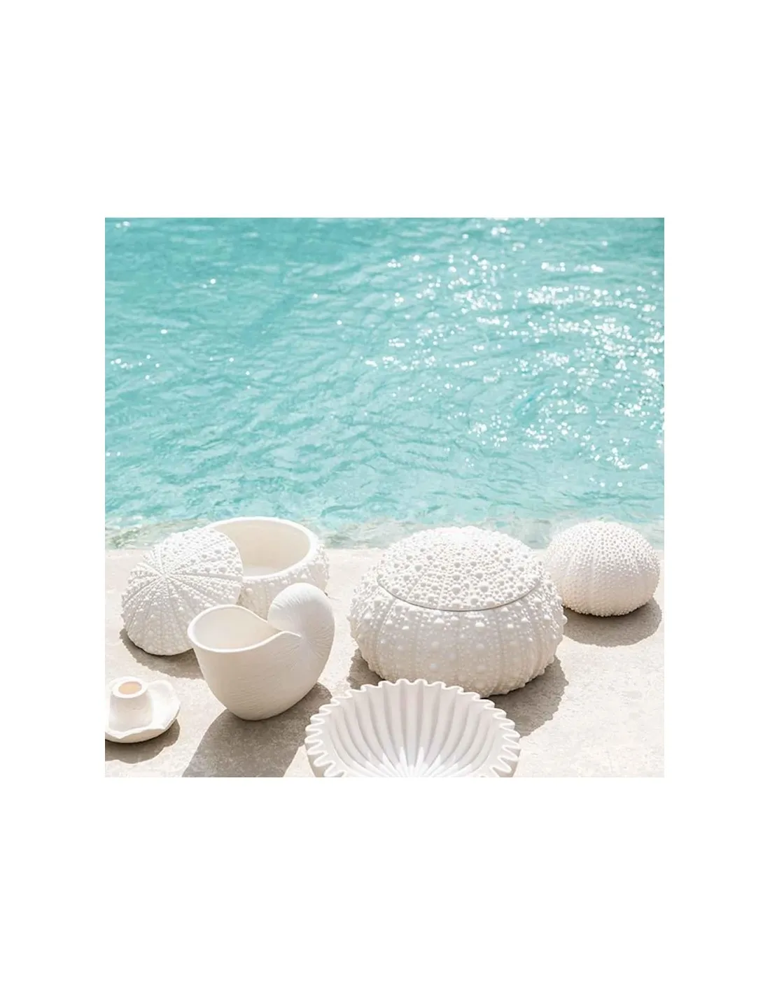 Vase Nautilus - Andrea House – Image 2