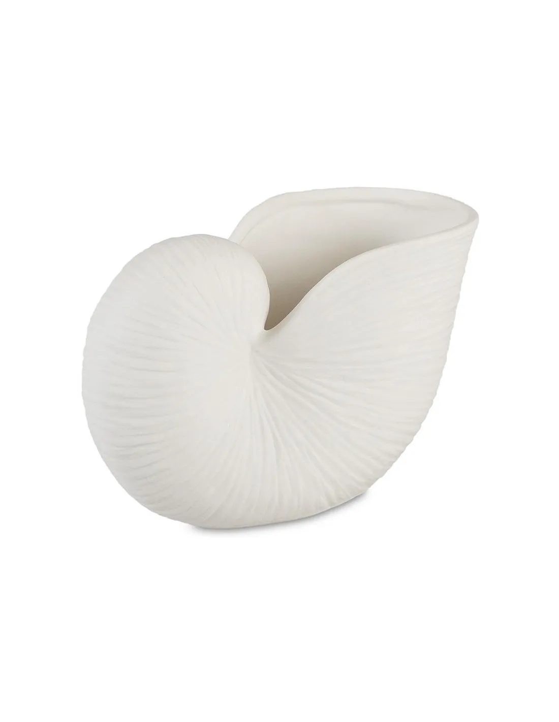 Vase Nautilus - Andrea House – Image 3