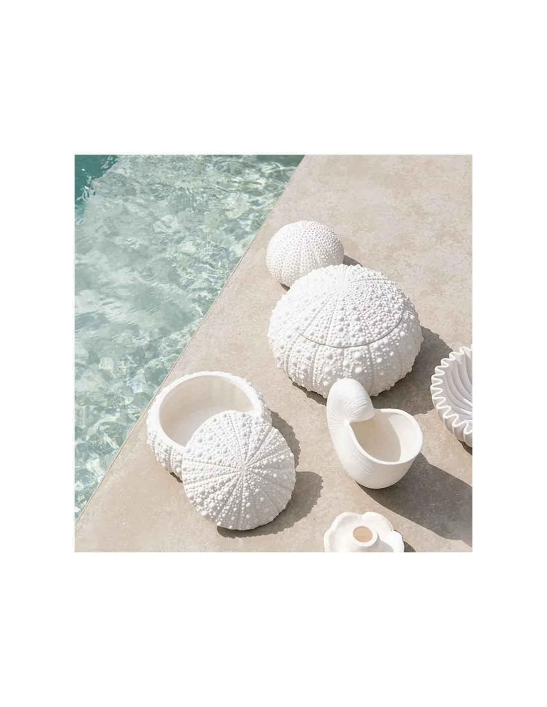 Vase Nautilus - Andrea House – Image 4